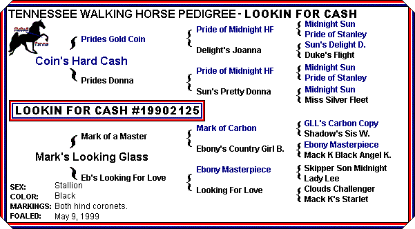 Lookin For Cash Pedigree - click on the gold names for more info.