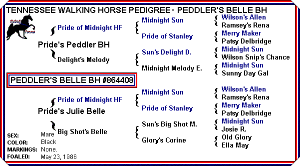 Peddler's Belle Pedigree