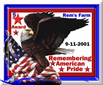 Rem's American Pride 5 Star Award Approved Site