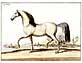 Baron Deisenberg - Horses Without Riders