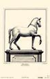 Joan Casanova - Equestrian Horses I