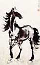 Xu Beihong - A Horse