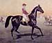 Horse  Jockey